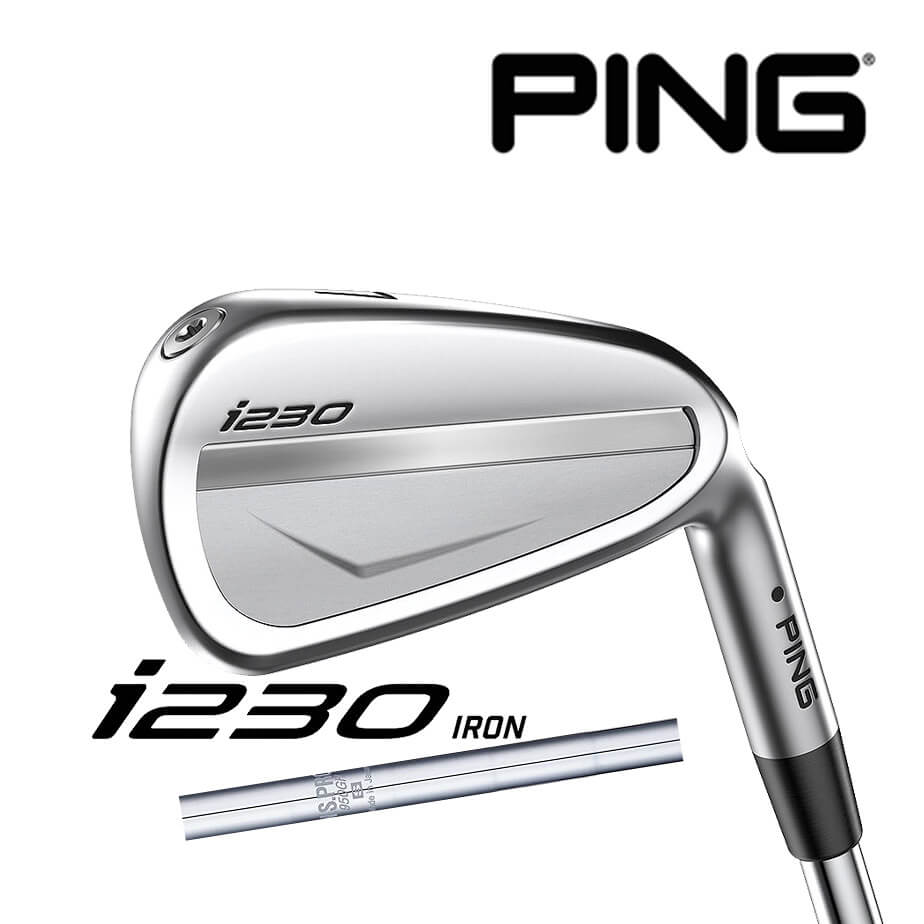 80/20クロス PING i230 アイアン N.S.PRO 950 neo 6I~PW | www