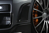 ROWEN WORLD PLATINUM サイドダクト(カーボン) 素地 日産 ニッサン GT-R (MY2008～) R35用 (1N001A20)【エアロ】【自動車パーツ】 ロェン ワールドプラチナ 58,212円