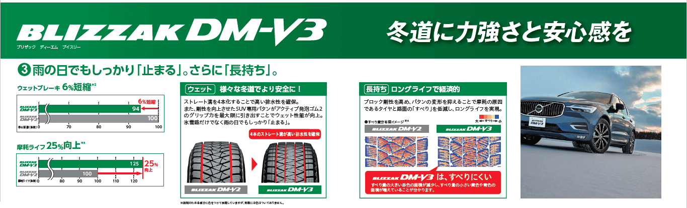 ブリザックDM-V3