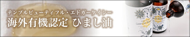 楽天市場】プラチナウェーブ【葵 AOI】敷布団 シングル : ナチュラル