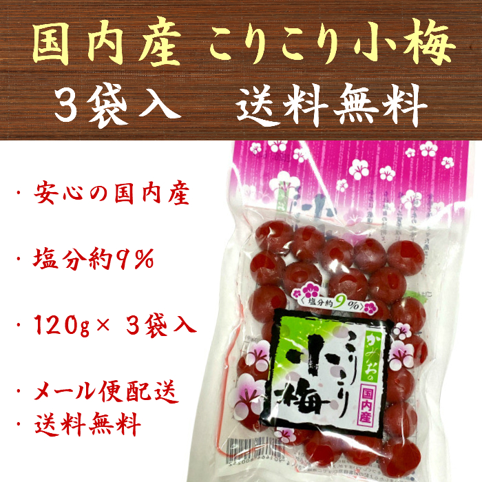 市場 1000円ポッキリ 合成着色料不使用 45gx4袋 紅しょうが 国産 合成保存料