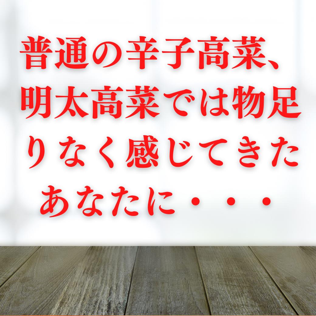 市場 辛子高菜 贅沢明太 高菜炒め 高菜漬け 高菜油炒め 辛子 からし高菜 選べる2袋 500g 漬物 福岡 250g×2袋 明太