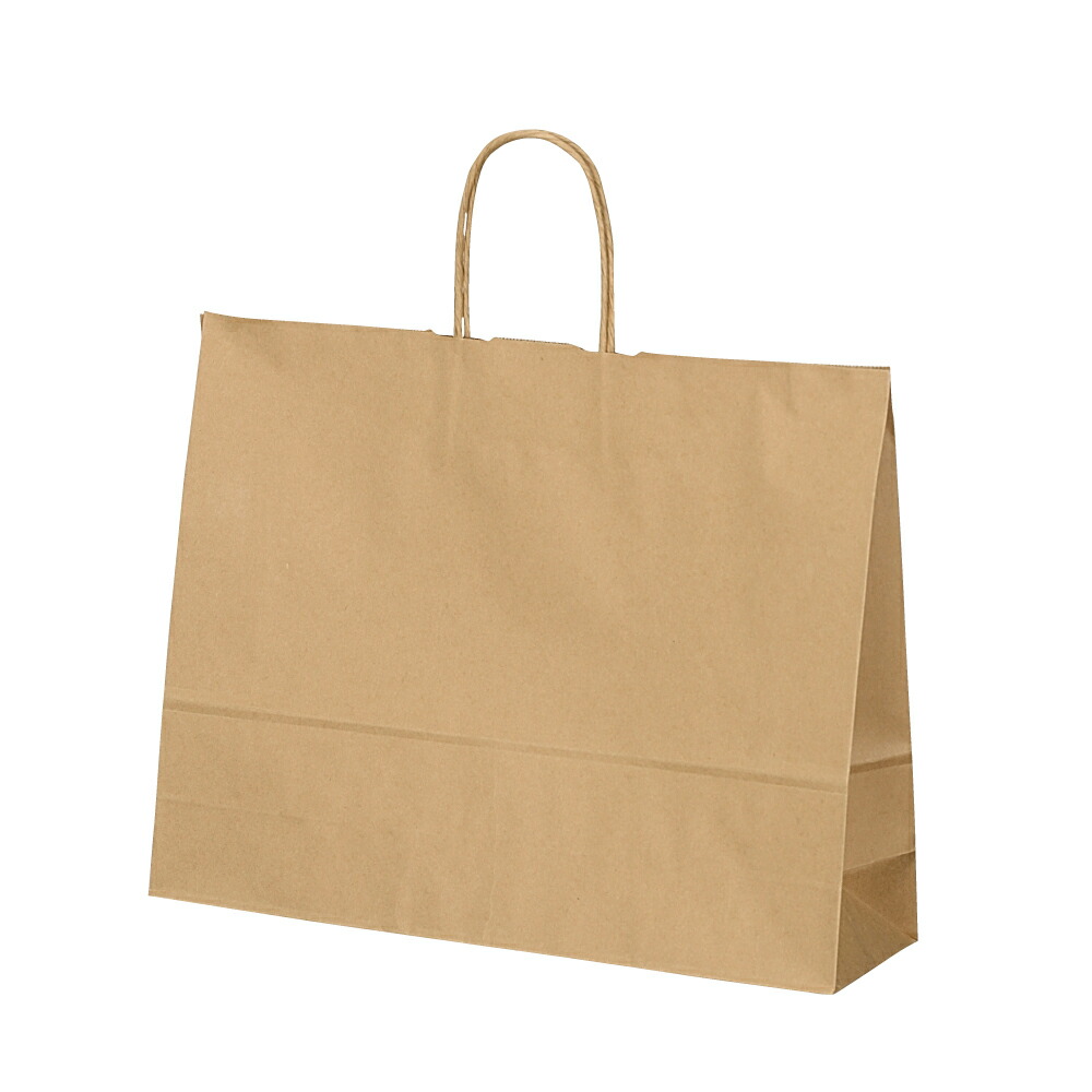 楽天市場】紙袋 横長 手提げ袋 【紙手提げ袋 T-Y 白無地】 業務用 50枚