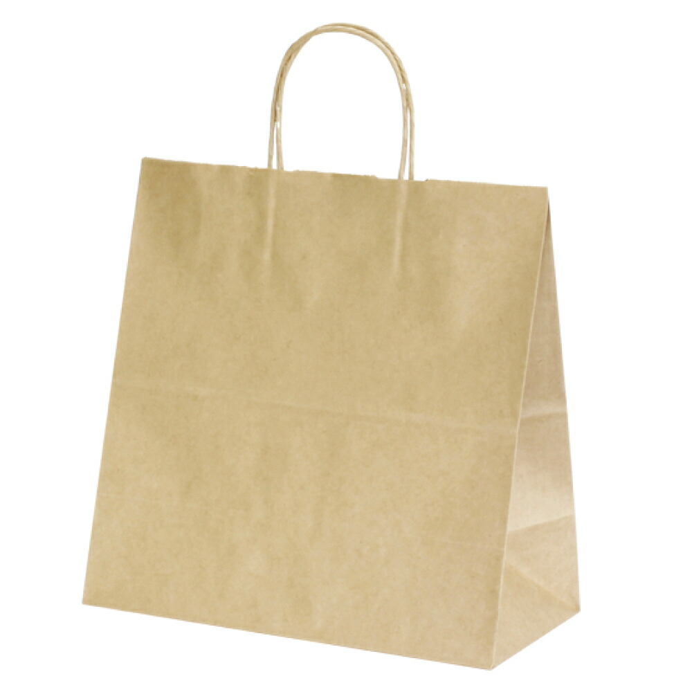 楽天市場】紙袋 手提げ袋 マチ広150mm 【紙手提げ袋 T-5W 茶無地