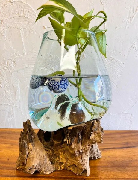 楽天市場】☆レビューで特典☆天然流木のガラスポット（特大 深型