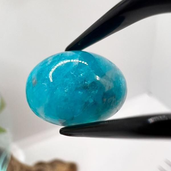 P10倍百貨店SALE | パライバトルマリン 16mm×12粍 V84880100-27♪ 天然石 ルース 珠玉 宝珠 裸石 誕生石 10月 力強さ石ころ 佩び物部分品 室内装飾 今めかしい 自然的 喫茶店 たまり場 ホテルライク 取り組みバル