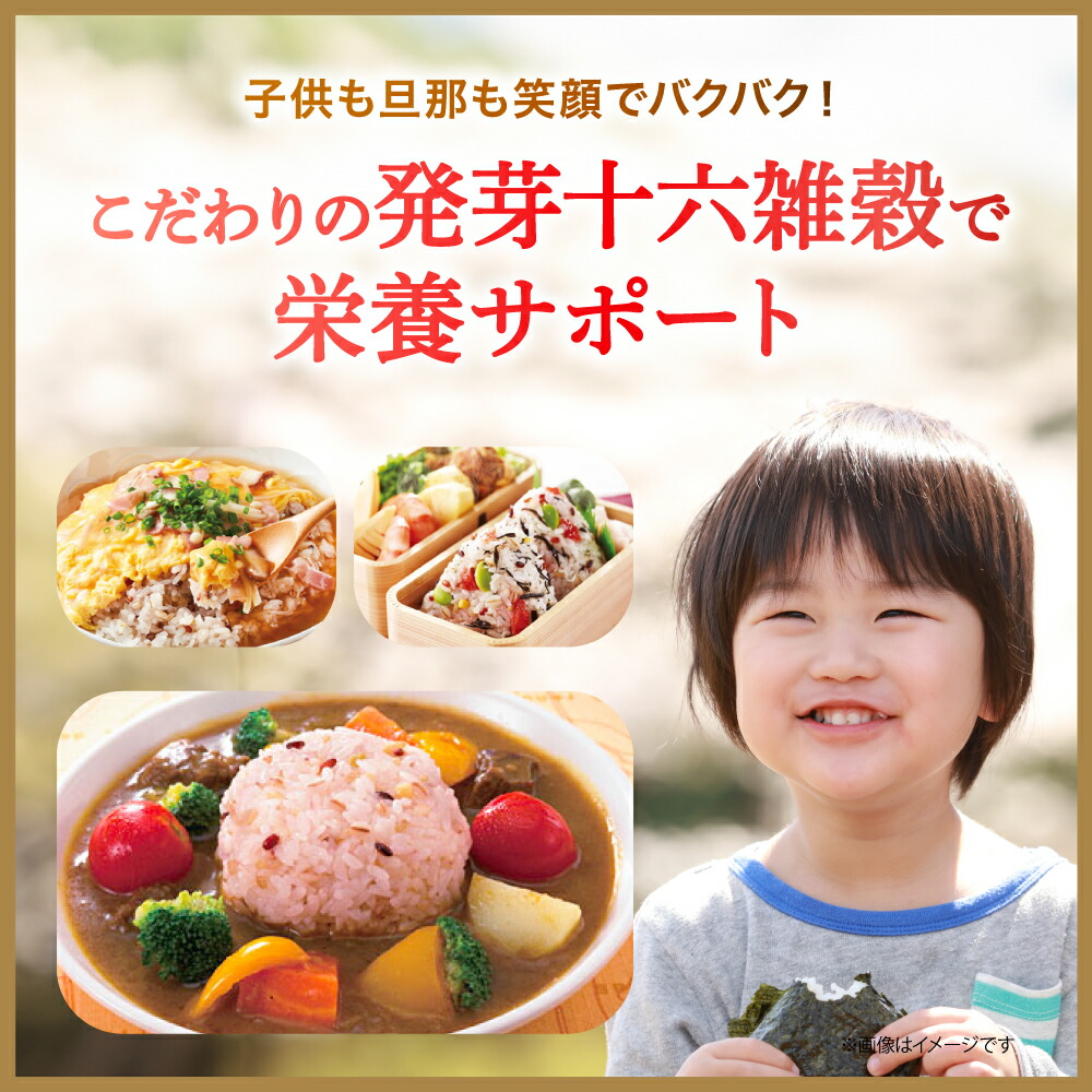 やずや 公式 】 やずや 国産 発芽十六雑穀 （25g×25小袋）送料弊社負担