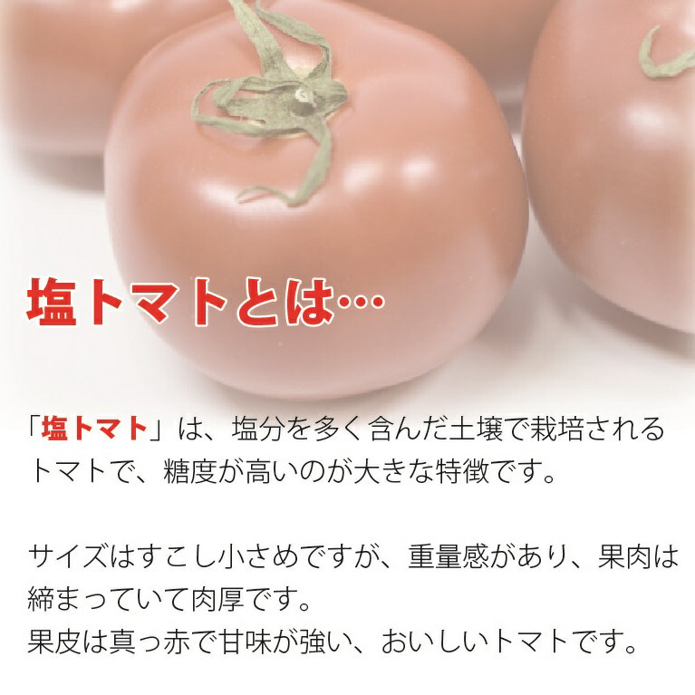 市場 送料無料 ギフト プレゼント ドライトマト お土産 母の日 あまなっとう 塩とまと甘納豆 10個 父の日