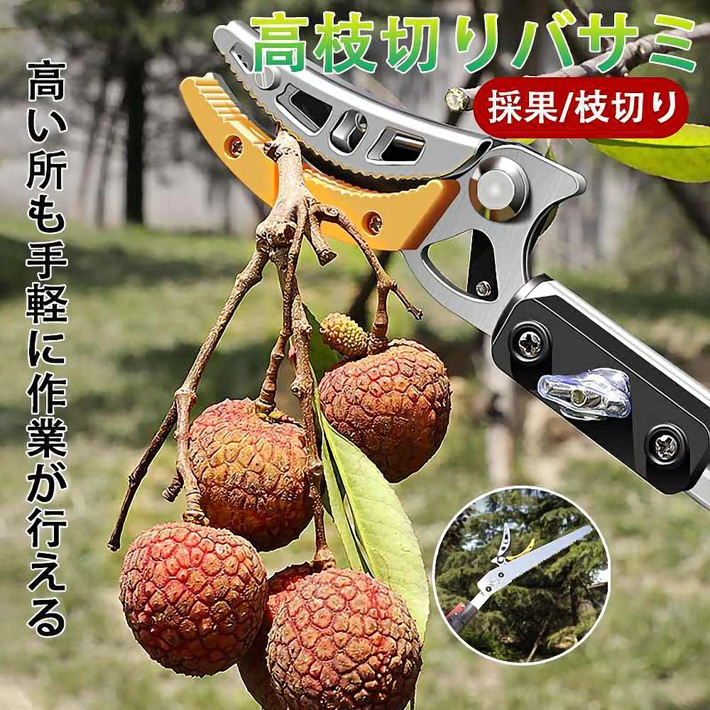 楽天市場】高枝切りバサミ 3m 4m 5m 伸縮式高枝切鋏 鋸付き 伸縮式