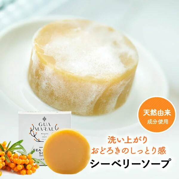 【特別価格！】石けん サジーソープ サジー石鹸 シーベリー サジー オーガニック洗顔石けん 80g 固形石鹸 ソープ せっけん 顔用 身体用 全身美容石鹸 洗顔 洗髪 ボディー