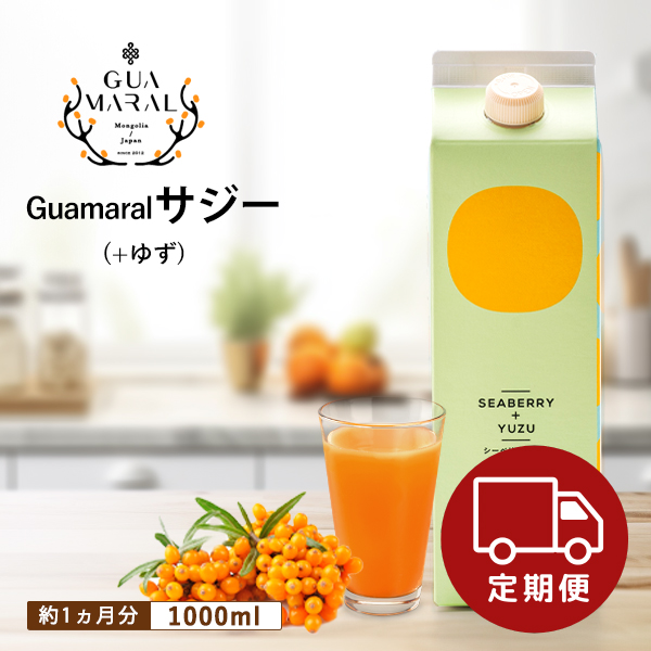 サジー ジュース ＋ゆず 1000ml 1本 グアマラル サジージュース 沙棘 シーベリー 健康ドリンク 健康飲料 スーパーフー