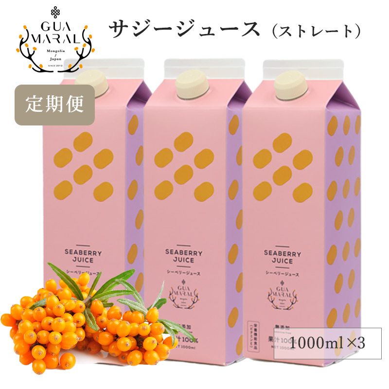 サジージュース 100% 1000ml 3本セット サジー 鉄分 鉄分ドリンク 健康