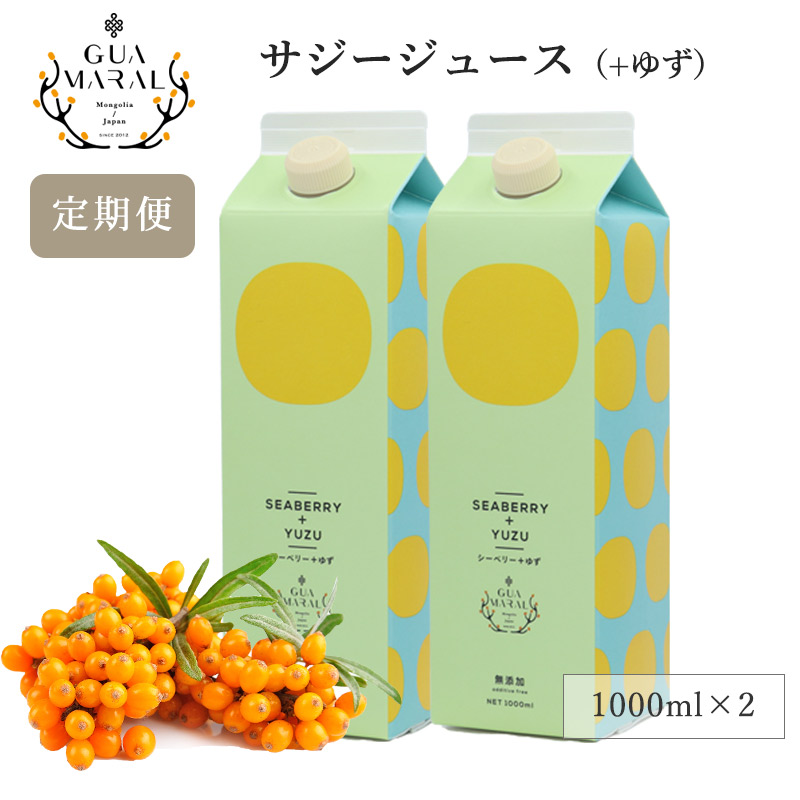 【 定期購入はポイント2倍 】サジージュース +ゆず 1000ml 2本セット サジー 鉄分 鉄分ドリンク 健康ドリンク 栄養ドリンク 美容ドリンク 無添加 健康飲料 鉄分不足 元気 健康 美容 鉄分補給 栄養補給 健康食品 沙棘 スーパーフード ビタミン