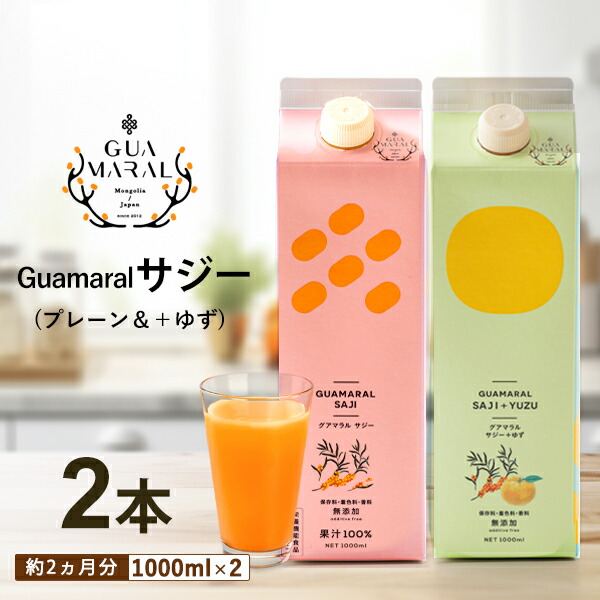 豊潤サジー　1000mL  300mL ゆずみつ　セット sajiberry 豊潤サジー 1000ml 300lm ゆずみつセット - メルカリ