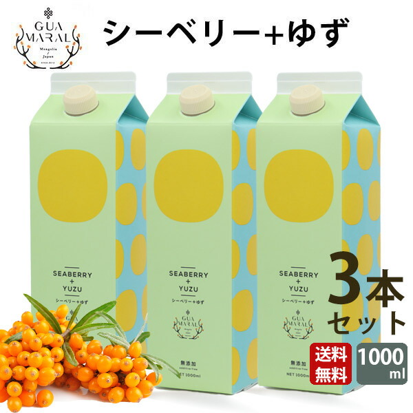 楽天市場】サジー シーベリージュース お試し サイズ 360ml 100％ ストレート グアマラル サジージュース 鉄分 ドリンク ジュース 元気  健康 美容 鉄分不足 鉄分補給 シーベリー 沙棘 sajii : モンゴル良品ショップ MON