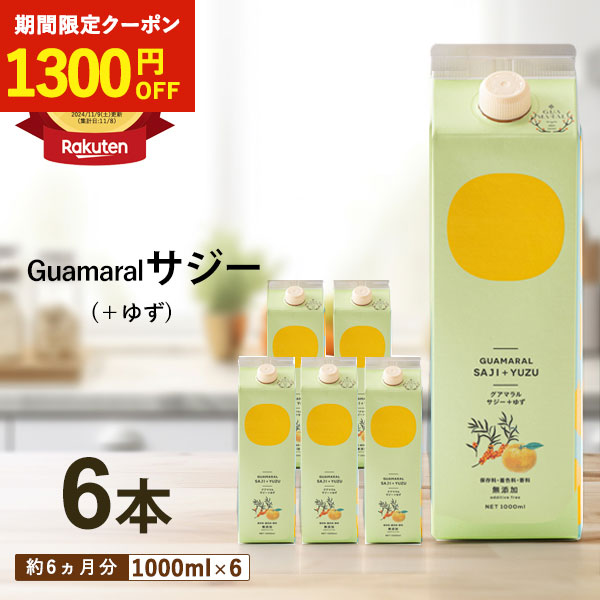 サジー ジュース ＋ゆず 1000ml 【6本セット】ゆず味 柚子 グアマラルサジー シーベリー サジー 鉄分 健康ドリンク 栄養ドリンク 美容ドリンク 健康飲料 健康 鉄分補給 栄養補給 健康食品 ビタミンc 妊婦 沙棘 鉄分 サジー 飲みやすい 自然由来 母の日