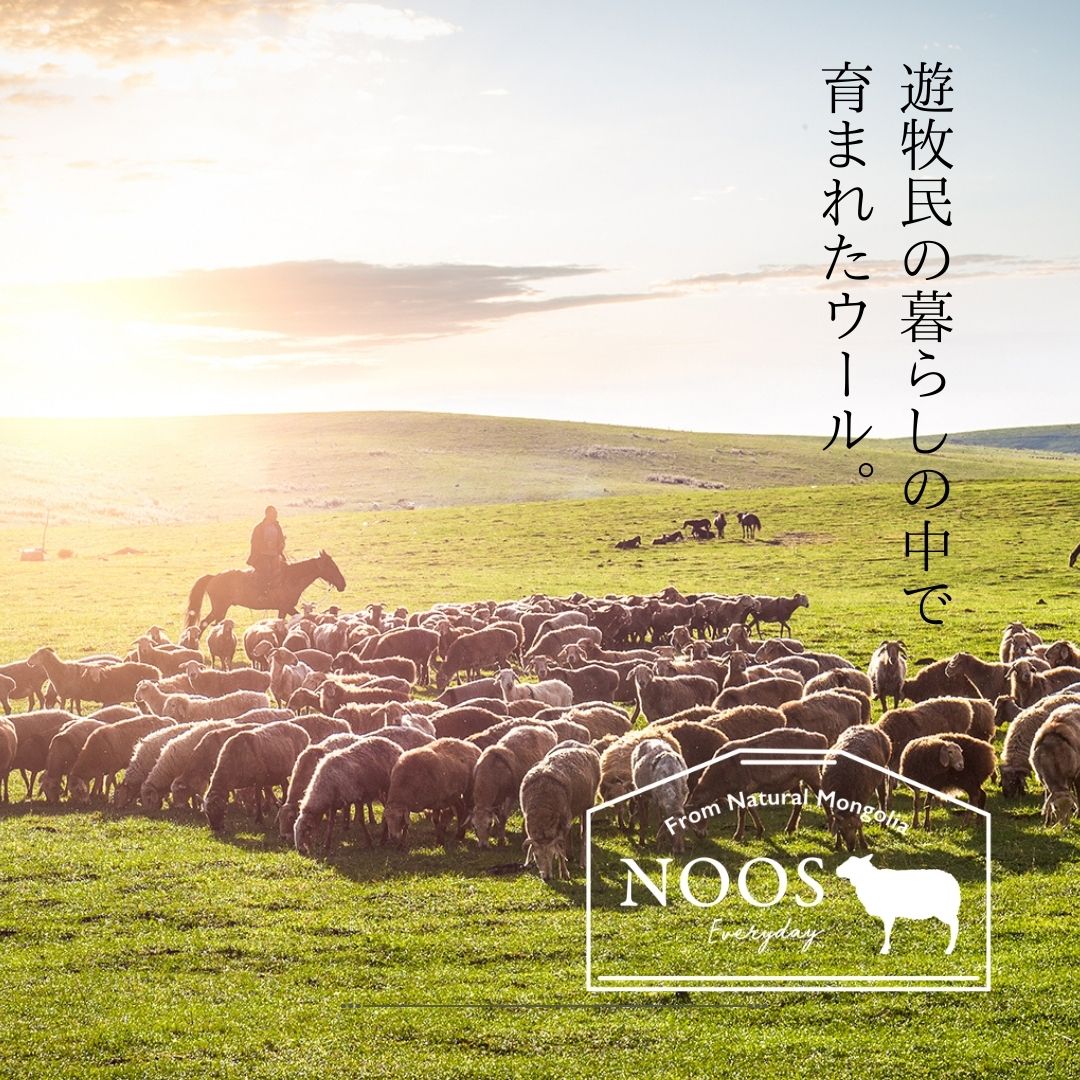 羊と暮らす靴下 あったか靴下 ウール 靴下 匂わない ウールソックス 靴下 クルー丈 モンゴル産 冷え取り 防寒 防臭 あったかい靴下 くつ下 冷え性 保温性 蒸れない ギフト 敬老の日 プレゼント お母さん おばあちゃん おじいちゃん 祖父
