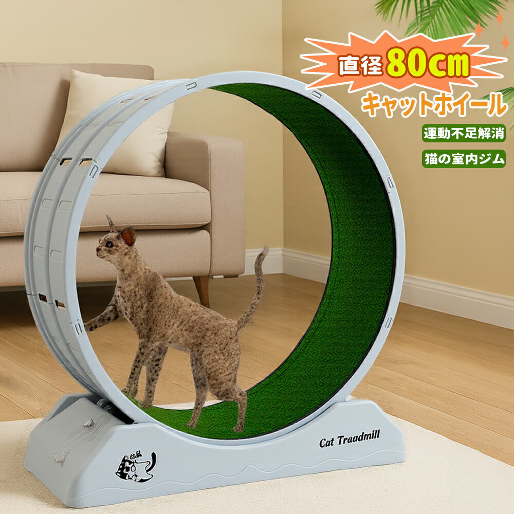 【楽天市場】キャットホイール 回転ホイール 直径80cm 大型 静音仕様 室内運動不足解消 犬 猫用ランニングホイール 猫 運動器具 猫用遊具
