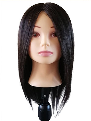 金髪 ウィッグ 練習用 iP200sNG 2体 413UML5Gf0L._UF350,350_QL80_.jpg