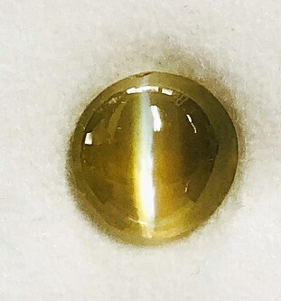 シャンデリヤ＆ピアス 入荷しました
