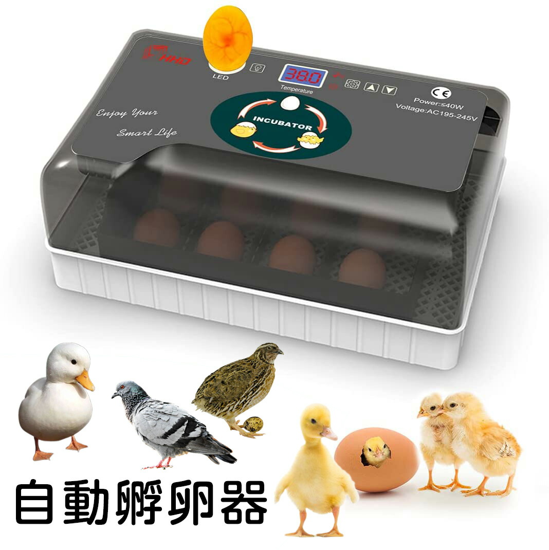 楽天市場】【9/15日まで⇒5％OFFクーポン】孵卵器 孵化器 鳥類