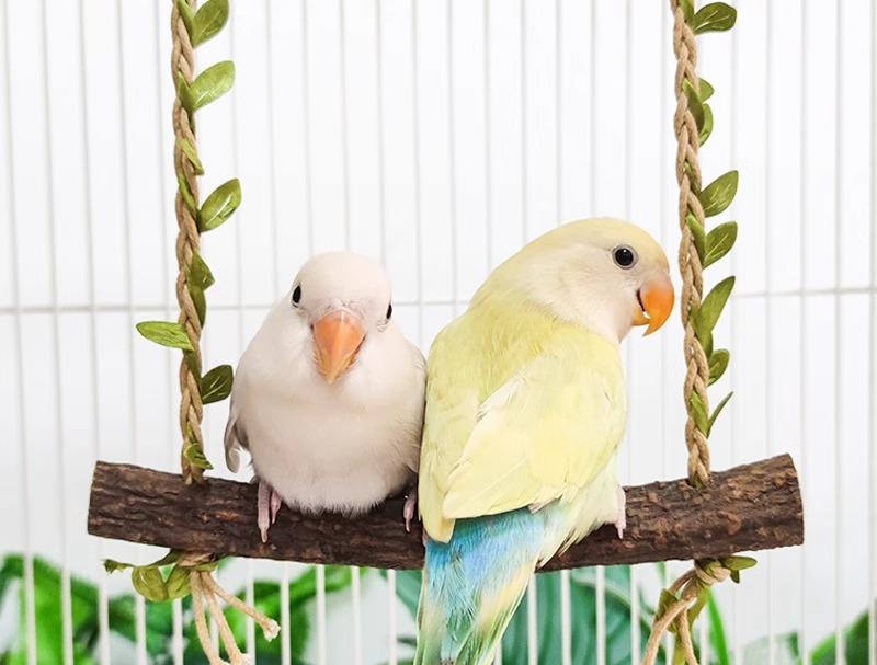ペット用品 おすすめ 小動物 おしゃれ かわいい 鳥 インコ オウム 文鳥 ヨウム おもちゃ 爪研ぎ 木製 ブランコ ロープ ・筋む シンプル 葉