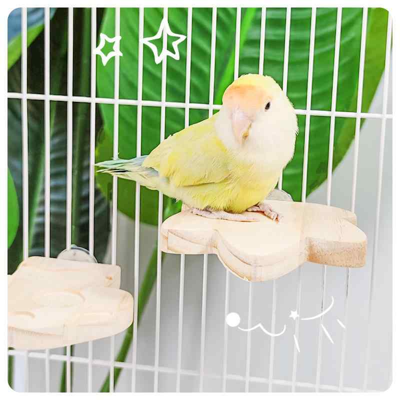 ペット用品 おすすめ 小動物 おしゃれ かわいい 鳥 インコ オウム 文鳥 ヨウム おもちゃ 木製 シンプル スタンド 止まり木 ネジ式