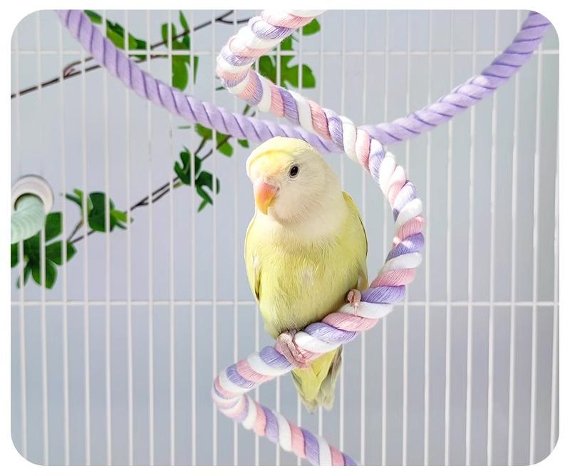 ペット用品 おすすめ 小動物 おしゃれ かわいい 鳥 インコ オウム 文鳥 ヨウム おもちゃ ロープ シンプル 噛む カラフル クライミング 運動 止まり木 グラデーション