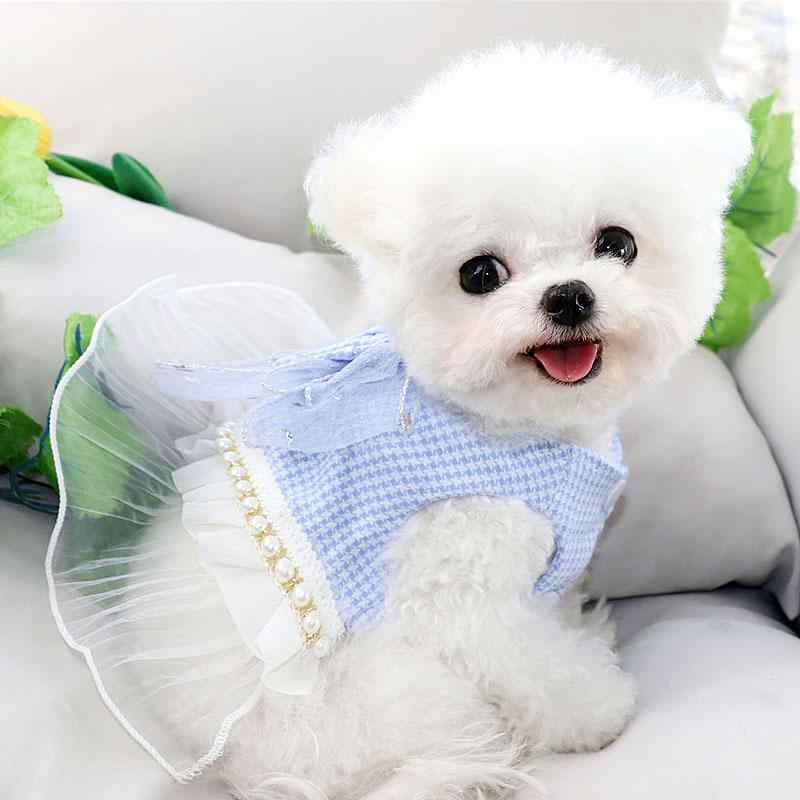 ドッグウェア 春夏 秋 ペット 犬 猫 服 散歩 かわいい おしゃれ 衣装 パール 小型 スカート レース フリル リボン ギンガムチェック ワッペン イラスト｜YKC8