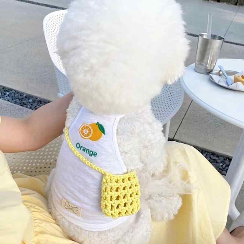 ドッグウェア 春夏 ペット 犬 猫 服 散歩 かわいい おしゃれ 衣装 ドッグウェア 薄型 小型 フルーツ オレンジ バナナ|YKC8