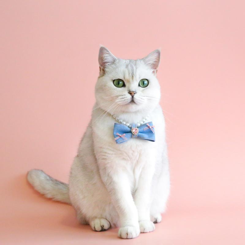 おすすめ 犬 猫 愛玩動物 グッズ 可愛らしい 今めかしい 頸飾り かざり付ける パール ジーンズ 首飾り 御姫様 伝達ルート石ころ 生まれ落ちる日 宝飾品 キラキラ 付属品 ハート形 シュロの葉 蝶タイ