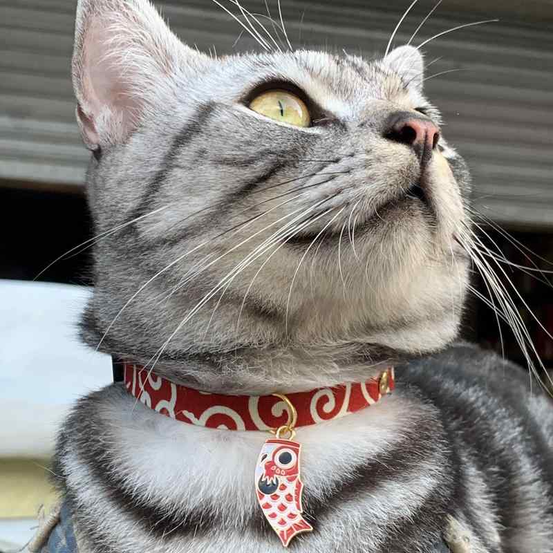おすすめ 猫 愛玩動物 グッズ 可愛らしい 今めかしい 頸飾り かざり付ける 和風 和柄 鯉のぼり  球 分かりやすい 鈴 呼びりん 安全性のある バックル