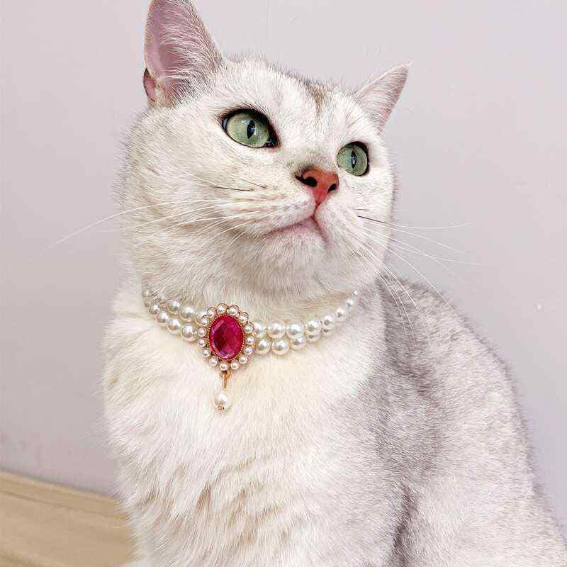 おすすめ 犬 猫 愛玩動物 グッズ 可愛らしい 今めかしい 頸飾り かざり付ける パール 首飾り 宝飾品 付属品 伝達ルート石ころ キラキラ