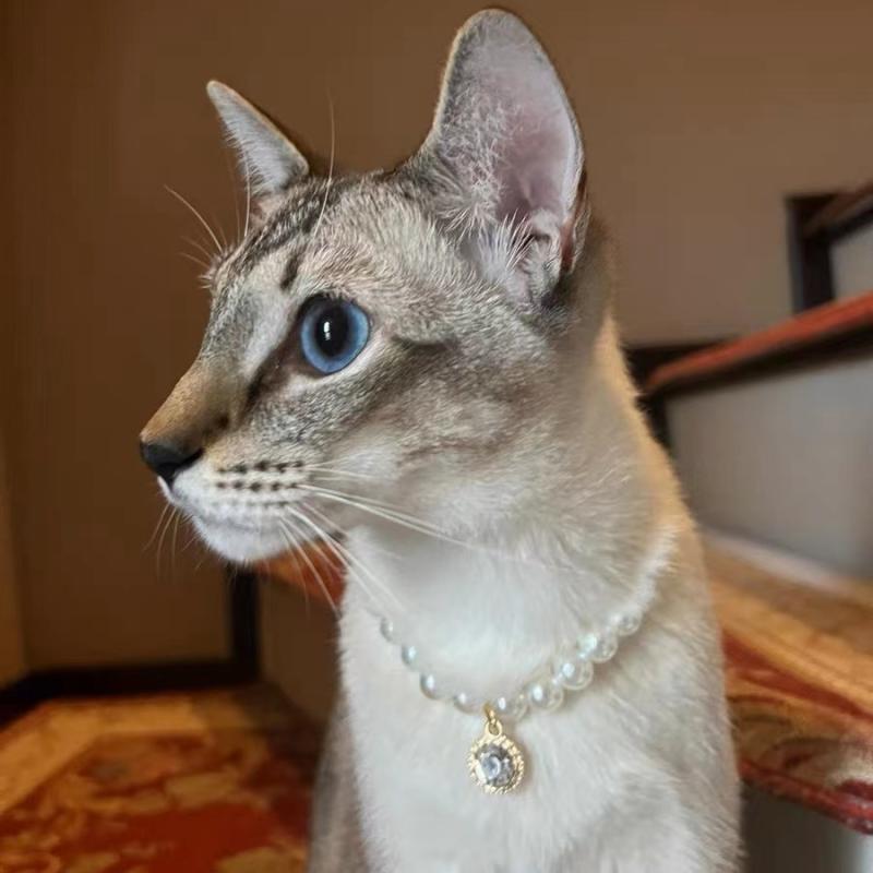 おすすめ 犬 猫 愛玩動物 グッズ 可愛らしい 今めかしい 頸飾り かざり付ける 宝飾品 パール 首飾り 付属品 伝達ルート石ころ キラキラ 分かりやすい