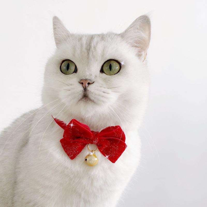 おすすめ 犬 猫 愛玩動物 グッズ 可愛らしい 今めかしい 頸飾り かざり付ける 自然調整能力のある バックル 安全性のある 鈴 呼びりん 蝶タイ シュロの葉 分かりやすい 新年 クリスマス グリッター キラキラ