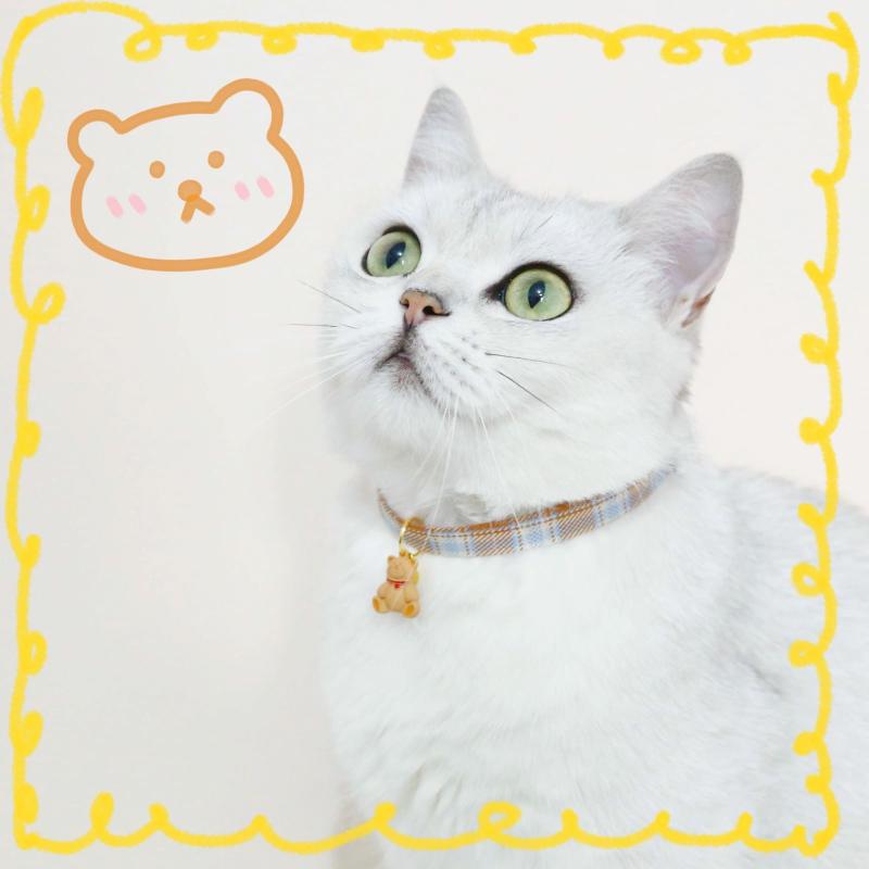 おすすめ 犬 猫 愛玩動物 グッズ 可愛らしい 今めかしい 頸飾り かざり付ける 可愛らしい 猫 桜んぼう さくらんぼ 熊 ハート形 照合のしるし 自然調整能力のある 呼びりん 鈴 安全性のある バックル 分かりやすい 引きつける