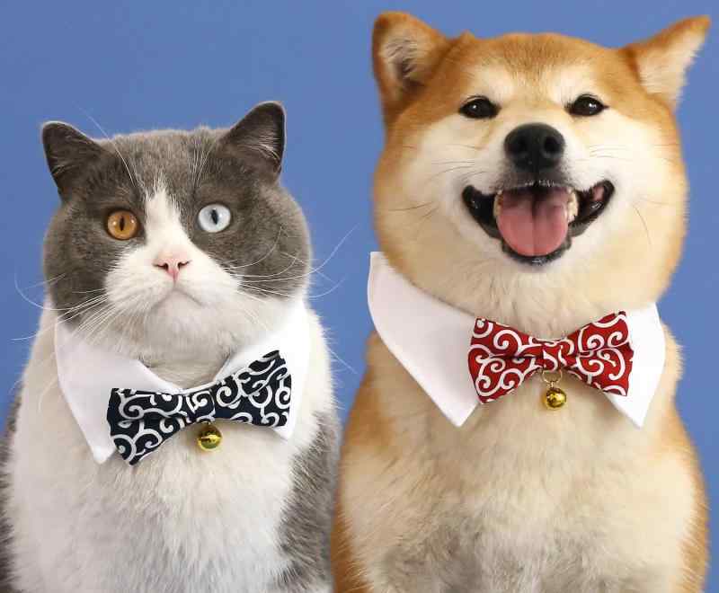 おすすめ 犬 猫 愛玩動物 グッズ 可愛らしい 今めかしい 頸飾り かざり付ける 呼びりん 蝶タイ 鈴 安全性のある 和風 和柄 シュロの葉 襟 生まれ落ちる日