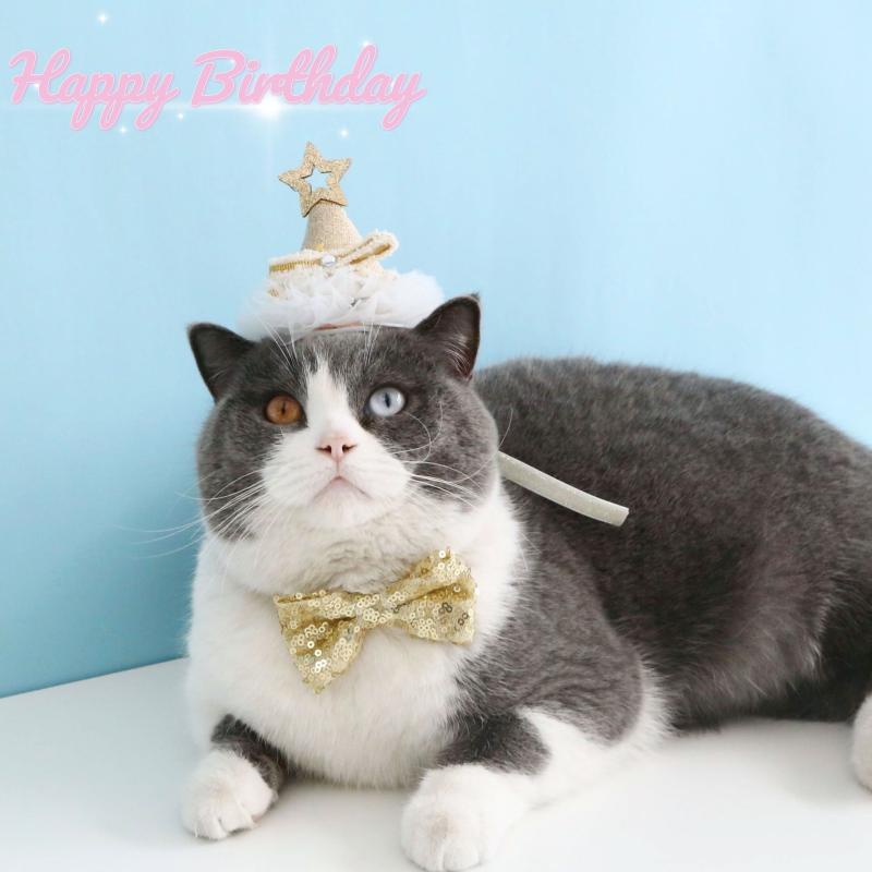 おすすめ 犬 猫 愛玩動物 グッズ 可愛らしい 今めかしい 頸飾り かざり付ける 愛玩動物 生まれ落ちる日 スピード競技 星 立体 かぶり笠 スパンコール 蝶タイ シュロの葉 寄りあい 仕掛ける 誕生日 キラキラ 御祭り