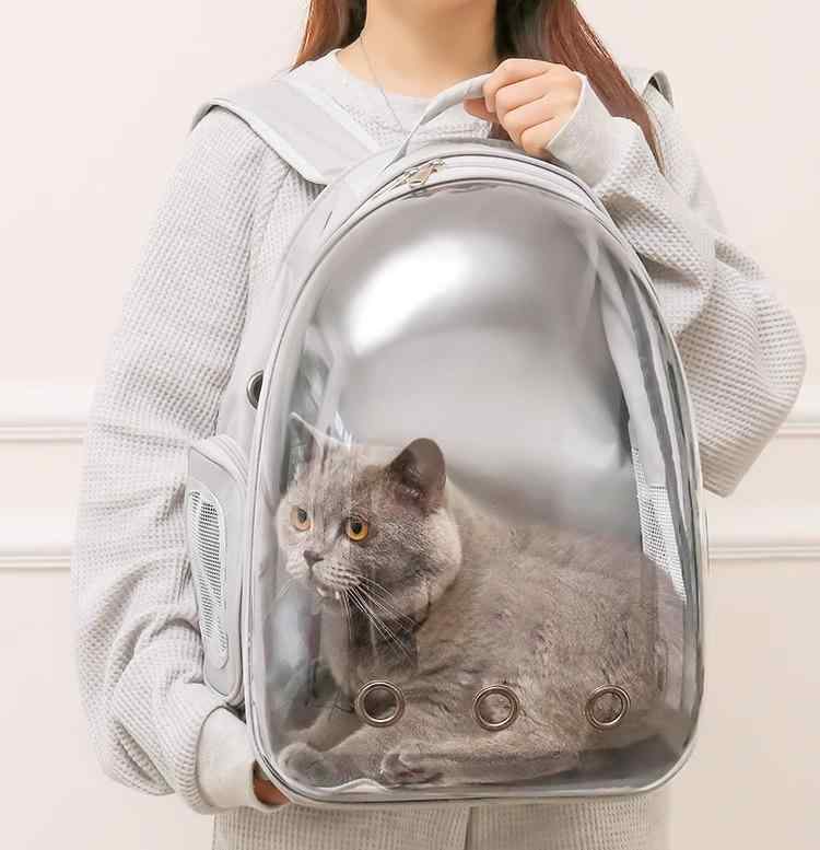 犬 猫 キャリー ペット 外出 バッグ ポータブル 運ぶ 外出 カプセル クリア 透明 通気性 リュックサック シンプル 色|YKC8