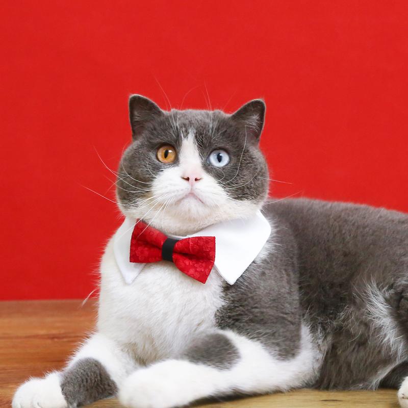 おすすめ 犬 猫 愛玩動物 グッズ 可愛らしい 今めかしい 頸飾り かざり付ける 蝶タイ シュロの葉 生まれ落ちる日 華燭の典 分かりやすい 花柄 襟 自然調整能力のある