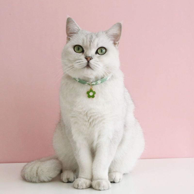 おすすめ 犬 猫 愛玩動物 グッズ 可愛らしい 今めかしい 頸飾り かざり付ける 御花 自然調整能力のある バックル 花 引きつける バックル 安全性のある 鈴 呼びりん
