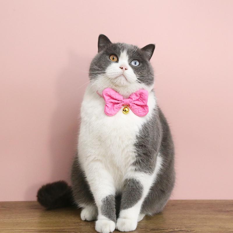 おすすめ 犬 猫 愛玩動物 グッズ 可愛らしい 今めかしい 頸飾り かざり付ける 蝶タイ シュロの葉 分かりやすい 鈴 呼びりん バックル 安全性のある