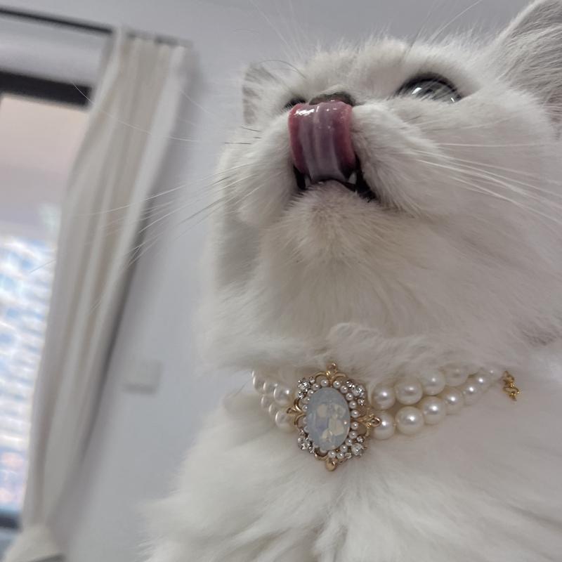 おすすめ 犬 猫 ペット グッズ かわいい おしゃれ 首輪 装飾 フェアリー パール ラインストーン プリンセス ジュエリー アクセサリー ネックレス キラキラ バラ ローズ