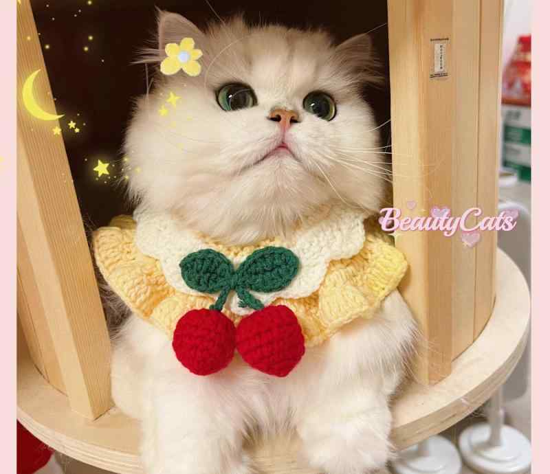 おすすめ 犬 猫 愛玩動物 グッズ 可愛らしい 今めかしい 頸飾り かざり付ける よだれかけ 編み物 えり巻き 御姫様 蝶タイ シュロの葉 さくらんぼ 桜んぼう チドリ透かし彫り スピード競技 フラウンス