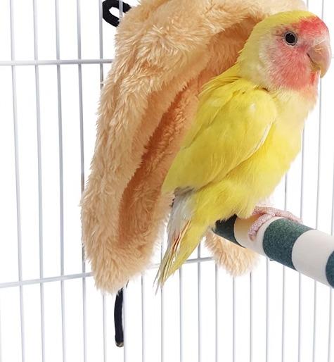 ペット用品 おすすめ 小動物 おしゃれ かわいい 鳥 インコ オウム 文鳥 ヨウム おもちゃ クッション ブランケット 巣 秋冬 ショール ふわふわ 暖かい 保温 シンプル