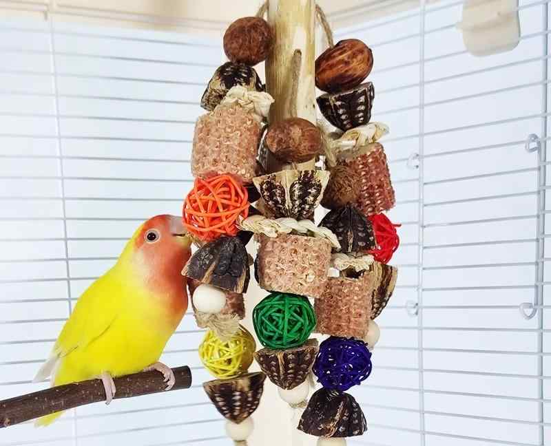 ペット用品 おすすめ 小動物 おしゃれ かわいい 鳥 インコ オウム 文鳥 ヨウム おもちゃ 噛む ストレス 解消 カラフル シンプル ボール 木製 穀物 吊り下げ