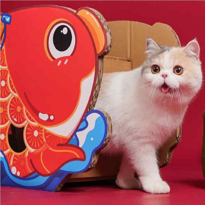 猫用品 ペットベッド 猫ハウス 猫 爪とぎ 幸運 鯉 コイ 魚 瓦楞紙 ダンボール ハウス ベッド 幸運3