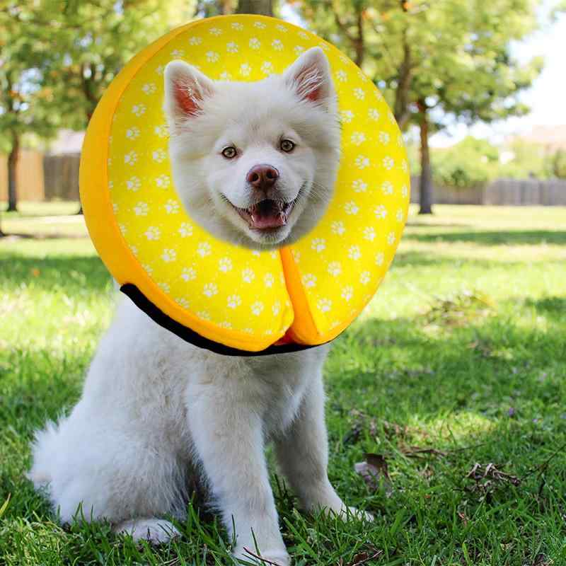 犬 猫用 ペット 介護用品 空気注入式 エリザベスカラー ソフト 傷舐め防止 噛み防止 犬用 猫用 小型犬 大型犬 イエロー ブルー グレー S M L XL(x50)