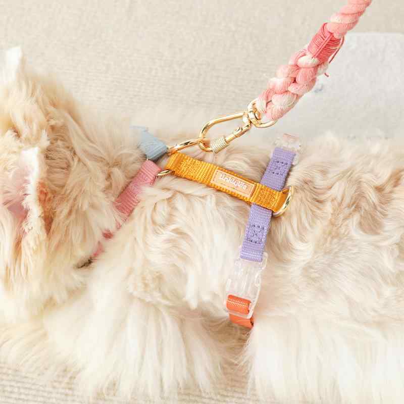 ハーネス 犬用 猫用 工字型 胴輪 リード セット ナイロン 伸縮 可能 ペット用品 小型犬 かわいい レインボーカラー(x2)