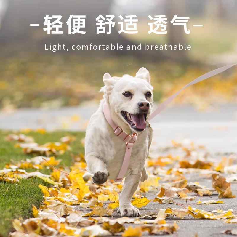 首飾り 胴輪 先んじる 犬用 ほっつき歩く吊りひも PVC 愛玩動物 馬具 さくら色ゴールド 金具 小型犬 中型犬 大型犬 ポリエステル さくら色 黒いこと 赤いこと 青碧 緑であること(x100)